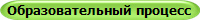 Учебный процесс